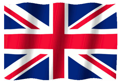 Usa Flag